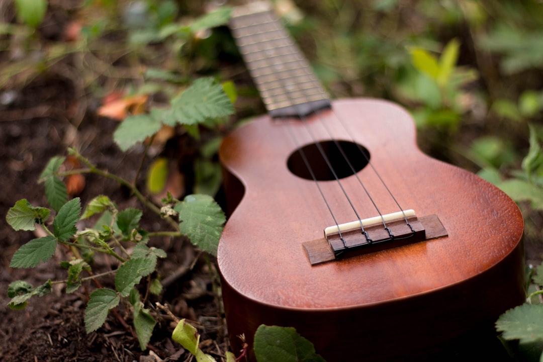 Photo Acoustic guitar