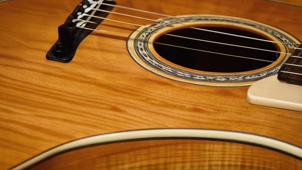 Photo guitar moisture protection